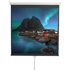 Экран Digis Optimal-D DSOD-1105 200x200 см 1:1 настенно-потолочный рулонный