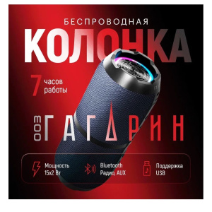 колонка портативная урал гагарин гр-003 серый 30w
